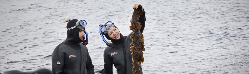 Studenter i våtdräkt vid havet