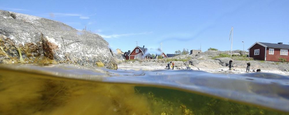 Här hittar du allt om den marina verksamheten vid Göteborgs universitet.