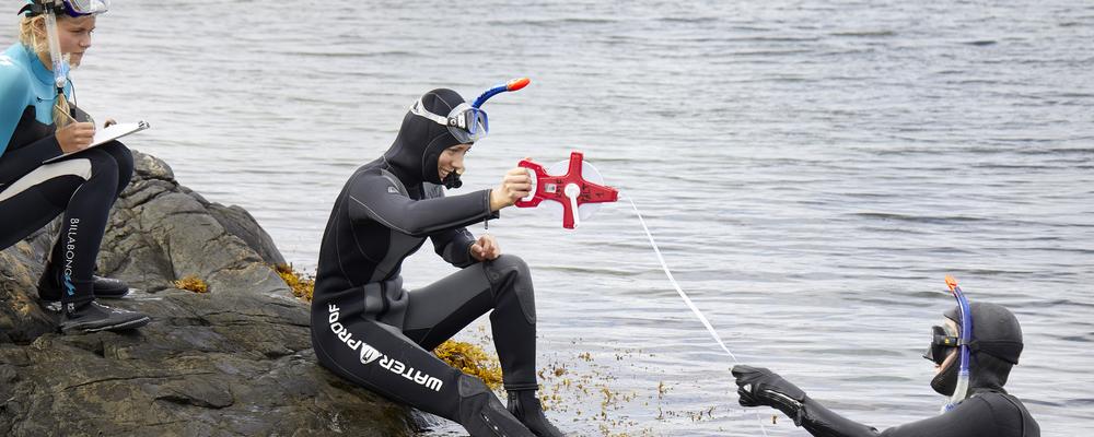 Två studenter i våtdräkter och snorklar sitter intill havet och håller i ett mätinstrument