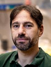 Tobias Rütting