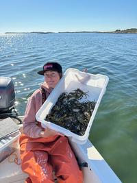 Forskare håller i plastback med krabbor